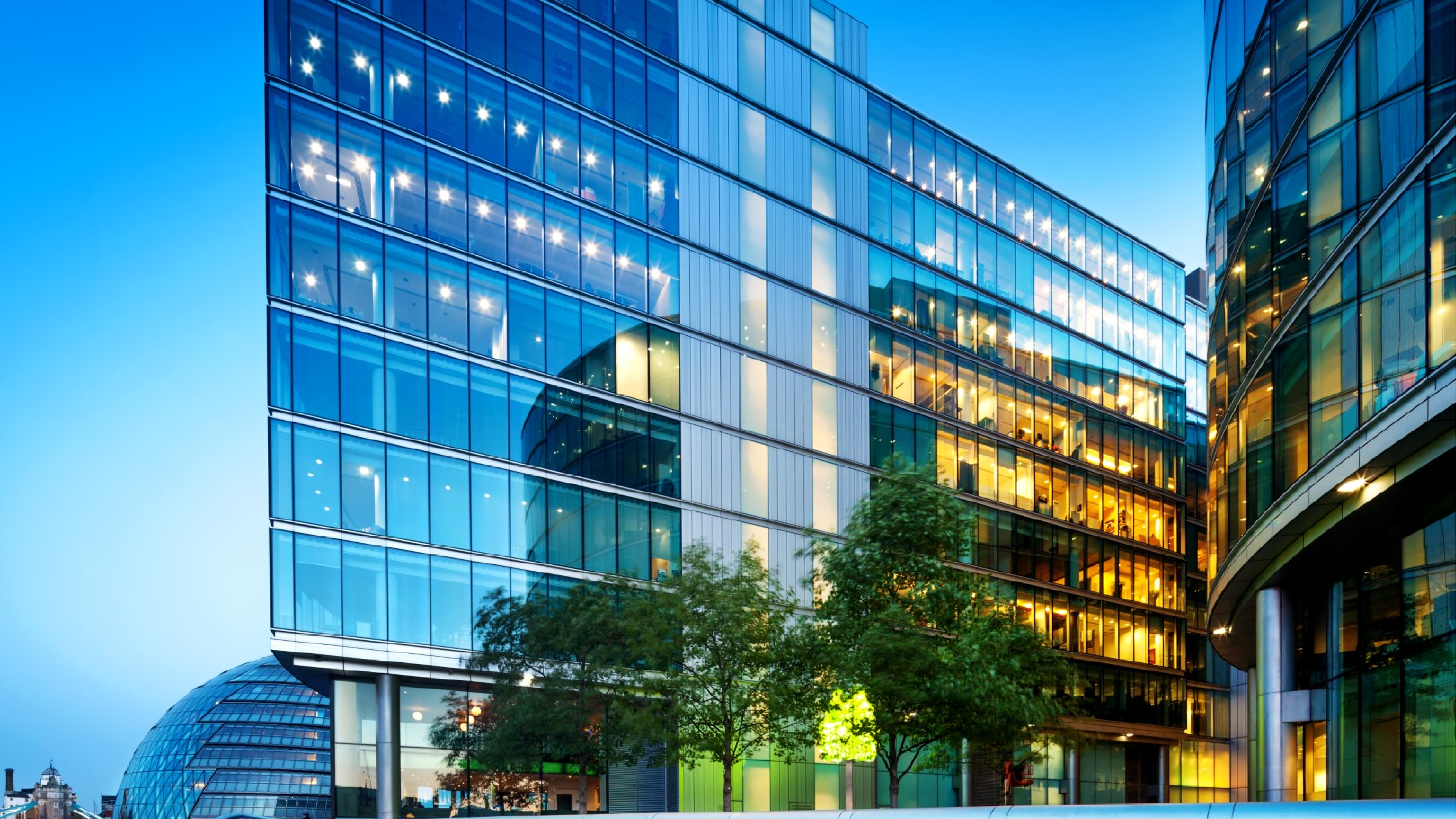 Krystel Daly rejoint Knight Frank France en tant que  Directrice du département Retail Leasing